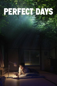 Poster phim Những Ngày Hoàn Hảo