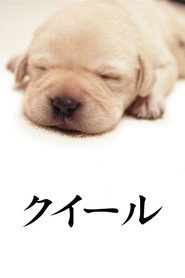 Poster phim クイール