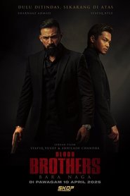 Poster phim Anh Em Đối Đầu