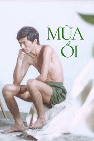 Poster phim Mùa Ổi