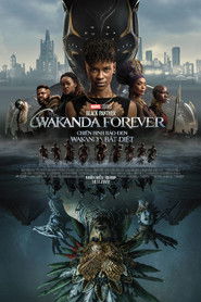 Poster phim Chiến Binh Báo Đen: Wakanda Bất Diệt